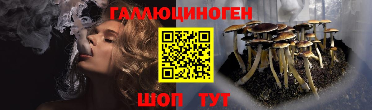 Галлюциногенные грибы GOLDEN TEACHER Якутск